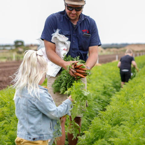 Ride 'n Pick Carrot Tractor Tours