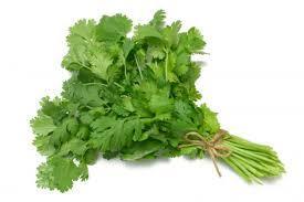 Coriander - Fresh Herb Company Tyabb - sleeve