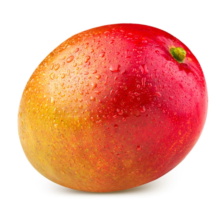 Mango - Calypso, Small (Single)