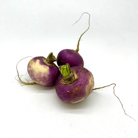 Turnip - single