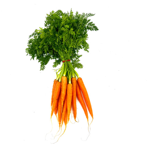 Baby carrots - Hawkes Farm Boneo - bunch