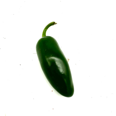 Chilli jalapeno - single