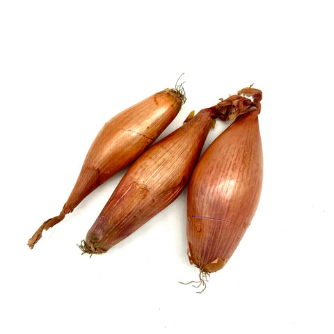 Shallots banana - single