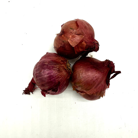 Shallots red - single