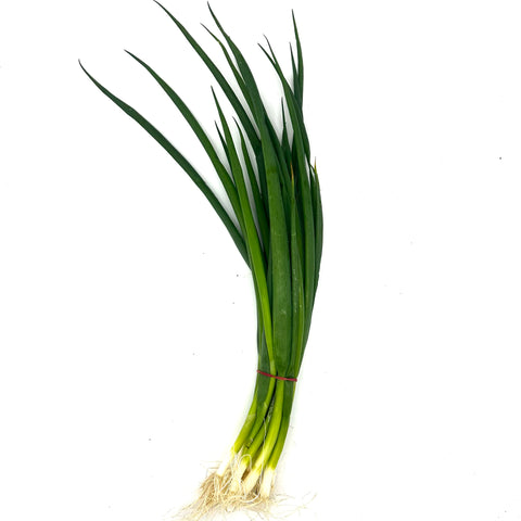 Spring onion - Hawkes Farm Boneo - bunch