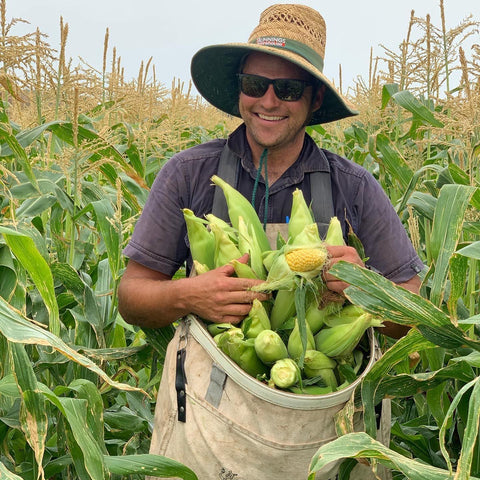 Ride 'n Pick Tractor Tours