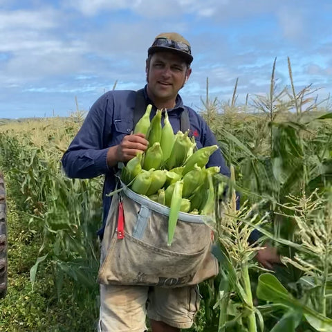 Ride 'n Pick Tractor Tours