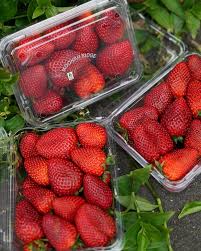 Moonah Ridge Strawberries - 500gm
