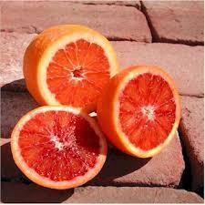 Orange - blood orange (Single - Medium)