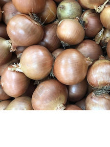 Onion - Brown (Single - Medium)