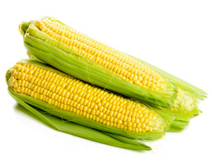 Corn (single cob)